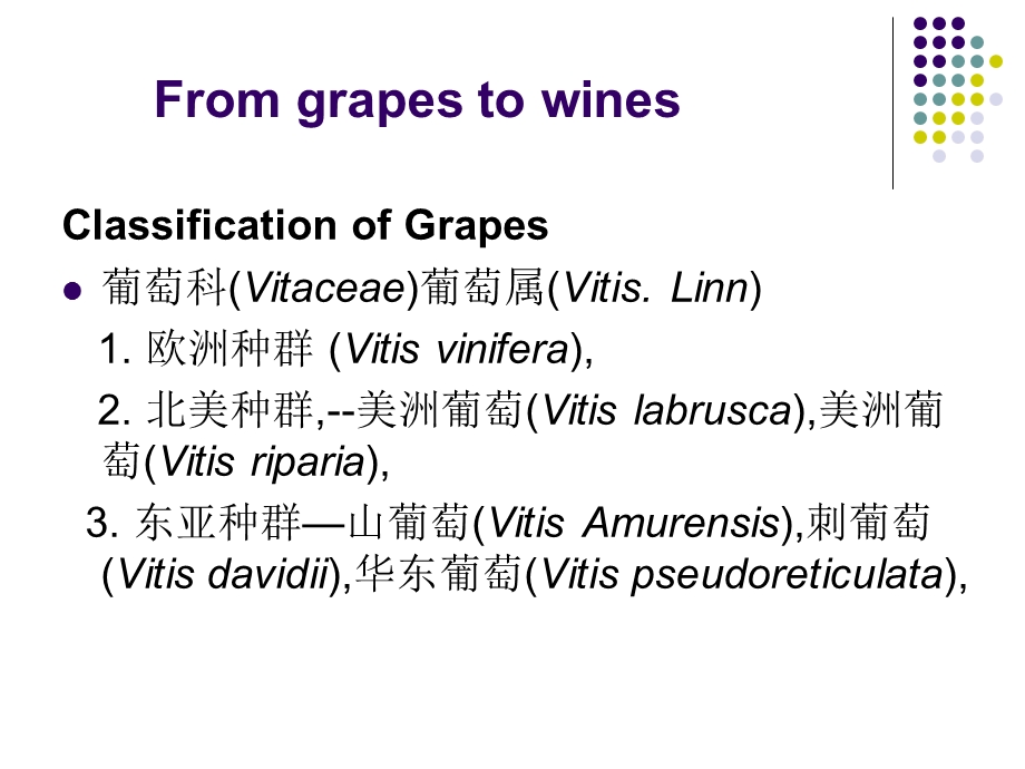 葡萄与葡萄酒文化0228.ppt_第3页