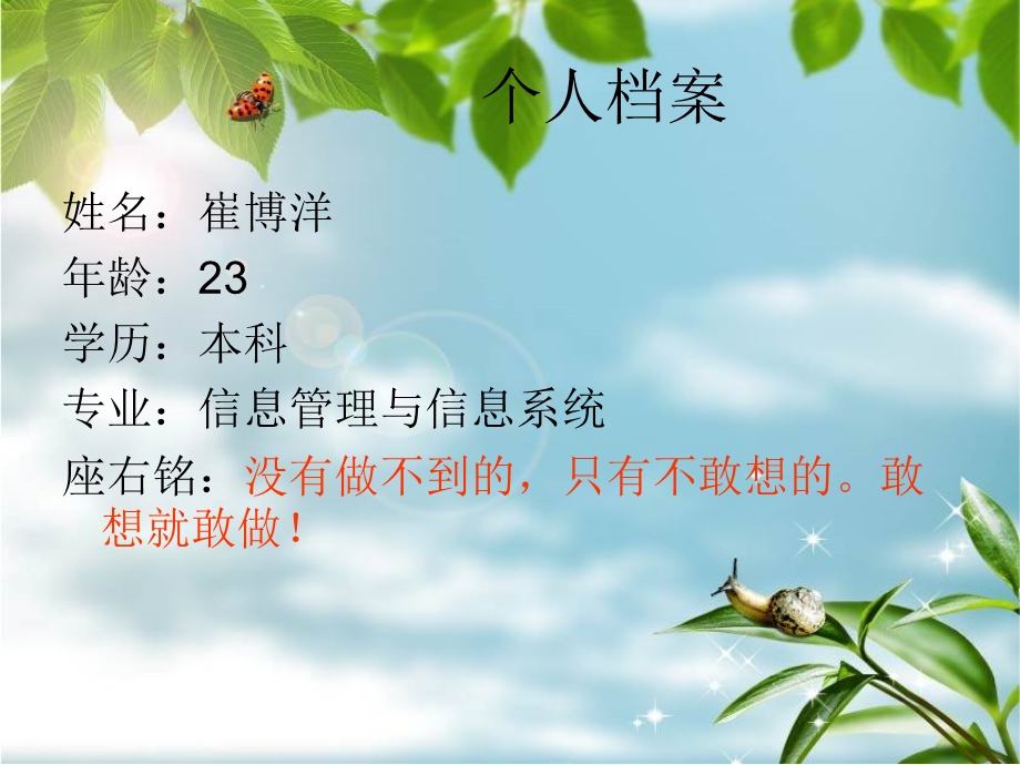 职业生涯目标规划-范.ppt_第3页