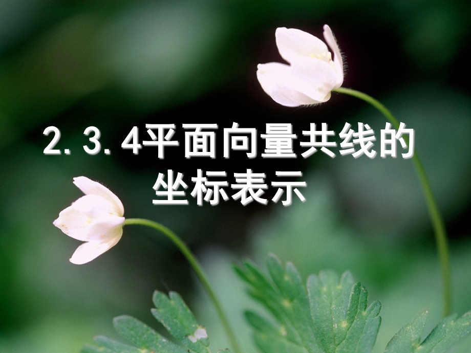 2.3.4平面向量共线的坐标表示课件4.ppt_第1页