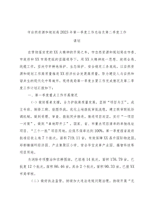 市自然资源和规划局2023年第一季度工作总结及第二季度工作谋划.docx