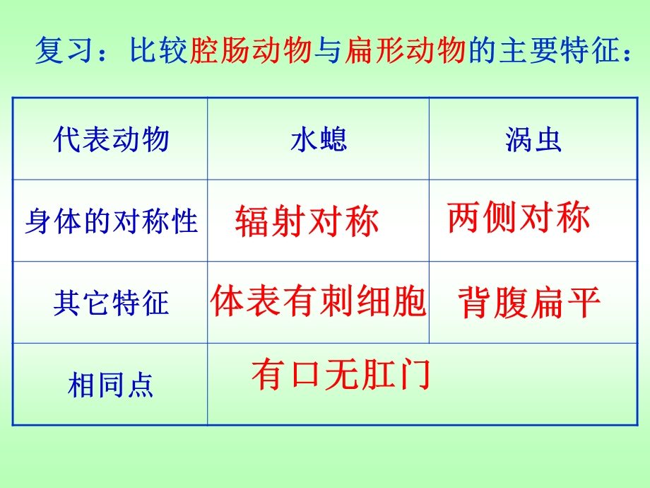 线形动物和环节动物上.ppt_第1页