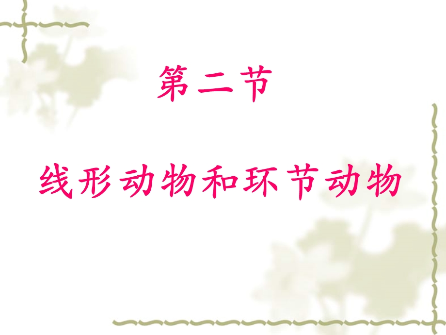 线形动物和环节动物上.ppt_第2页