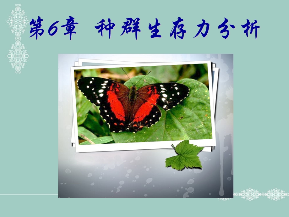 种群生存力分析.ppt_第1页