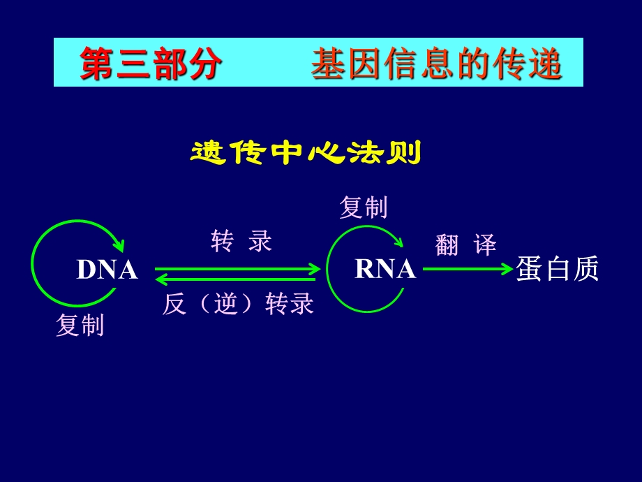 研究生入学考辅导(西医综合).ppt_第1页