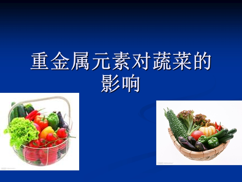 重金属对蔬菜的影响.ppt_第1页