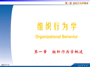 组织行为学第一章组织行为学概述.ppt