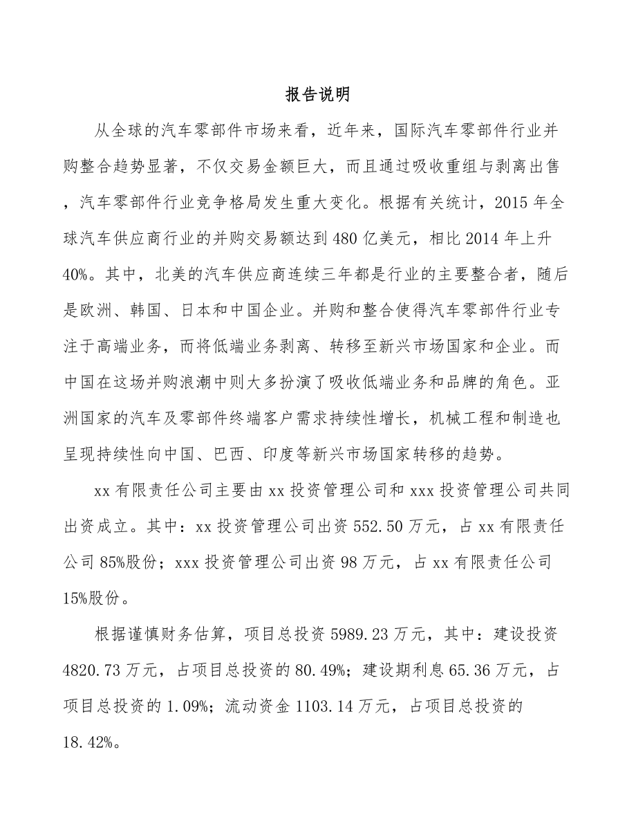 太原关于成立安全带公司可行性研究报告.docx_第2页