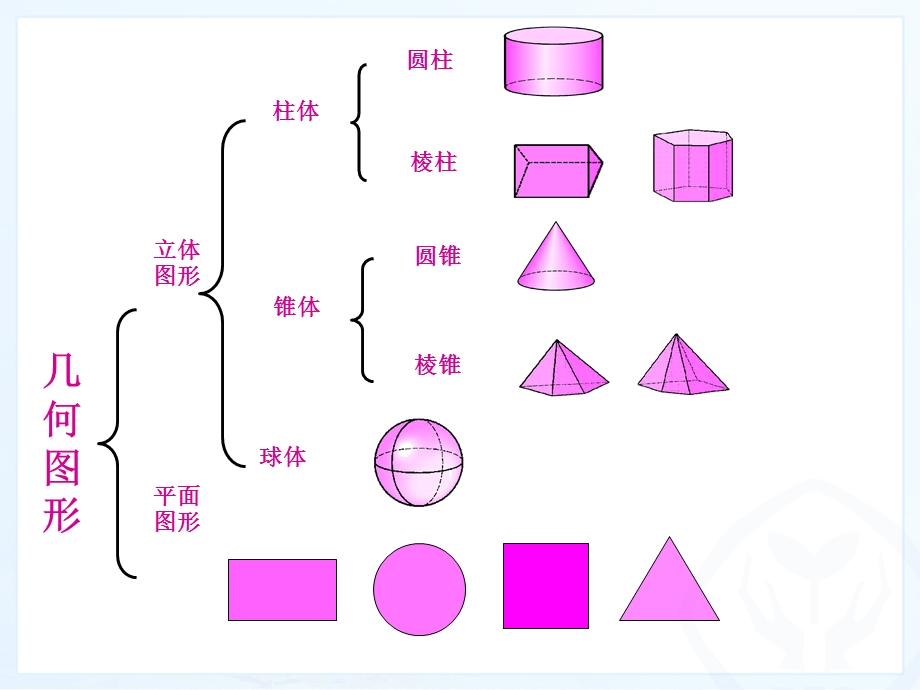 立体图形与平面图形展开.ppt_第2页