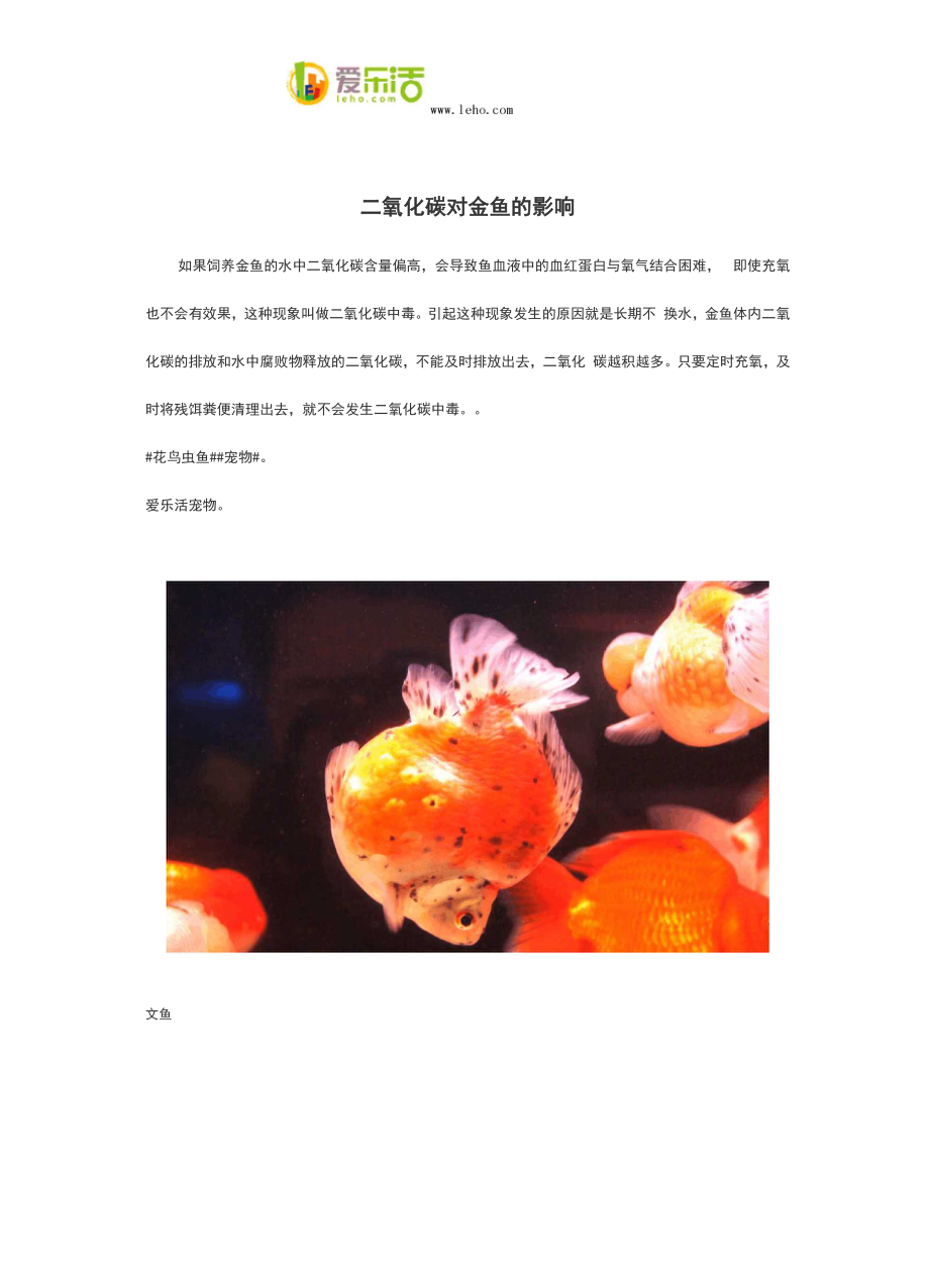 二氧化碳对金鱼的影响.docx_第1页