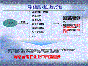 网络推广知识及营销原理.ppt