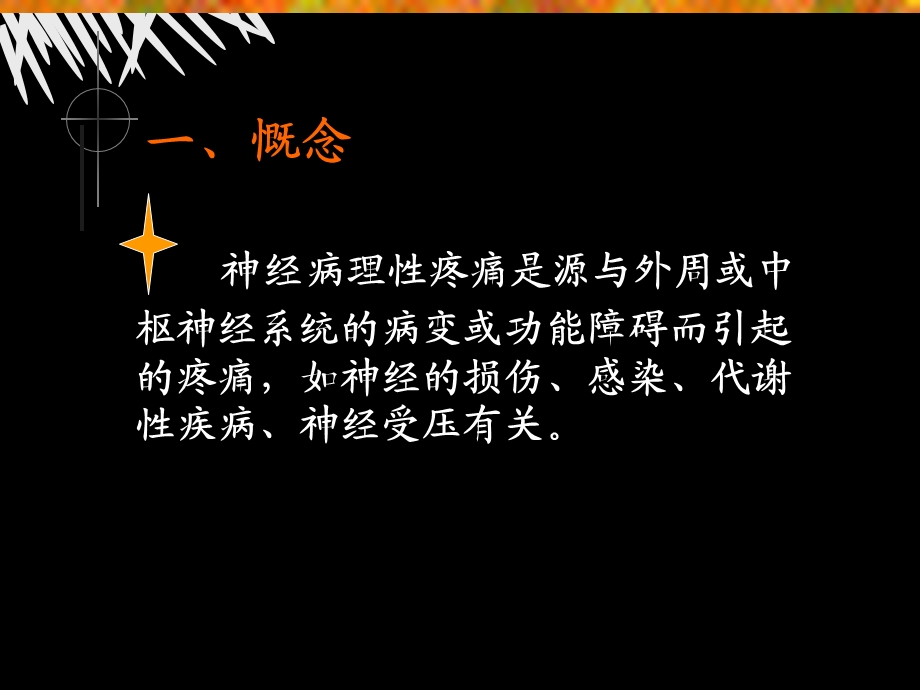 神经病理性疼痛.ppt_第2页