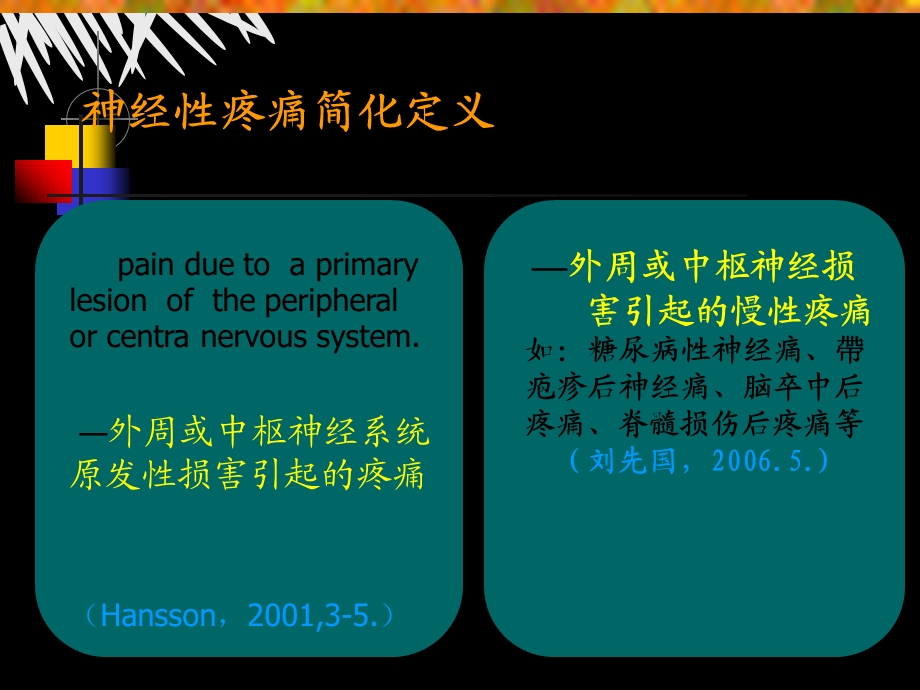 神经病理性疼痛.ppt_第3页