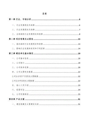 太原活性染料项目可行性研究报告.docx