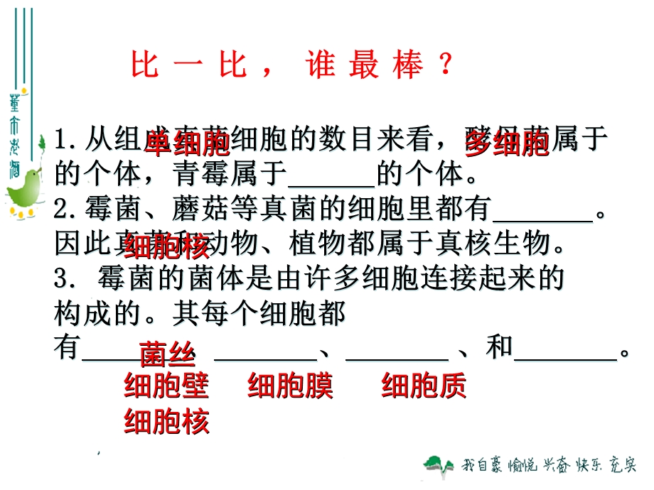 细菌和真菌的作用.ppt_第2页