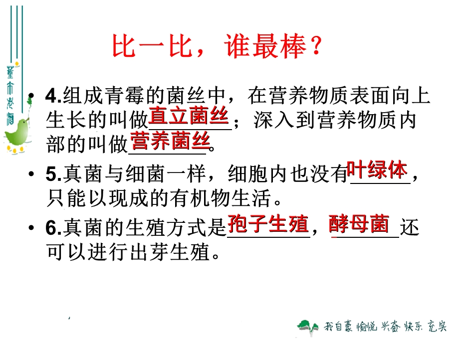 细菌和真菌的作用.ppt_第3页