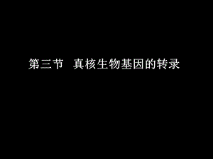 真核生物基因的转录.ppt