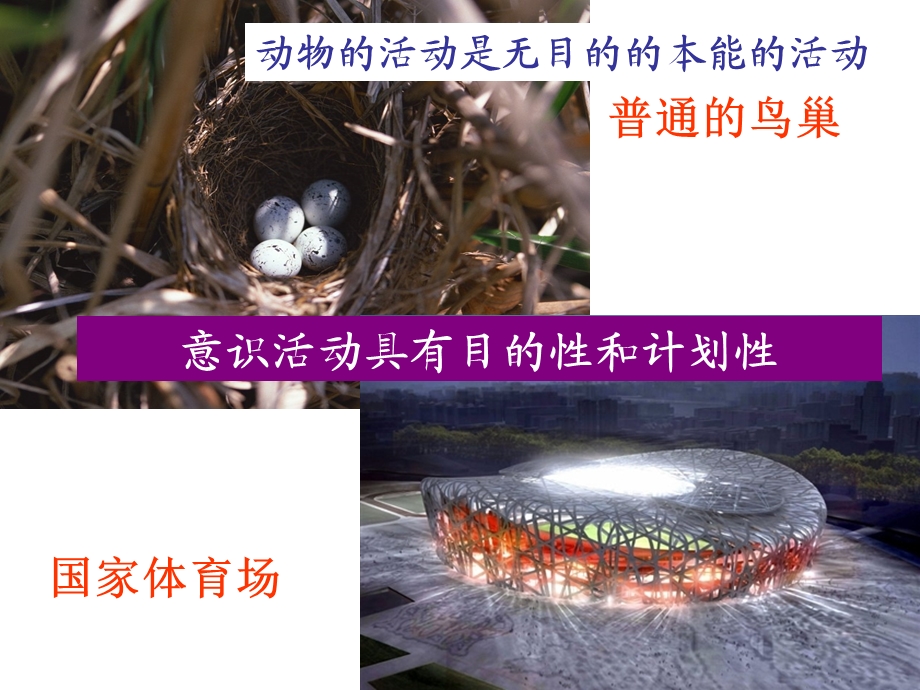 第五课 把握思维的奥妙.ppt_第3页