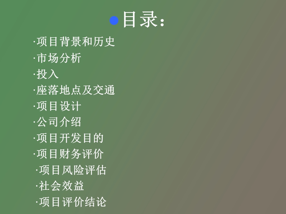 项目的论证与评估欢乐谷.ppt_第2页