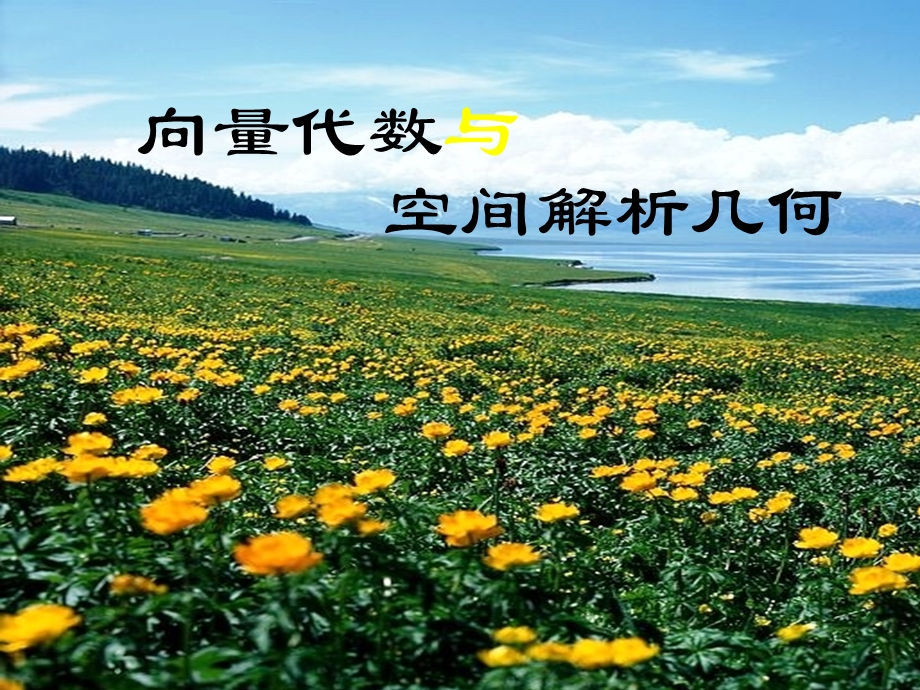 1向量的概念及运算.ppt_第2页