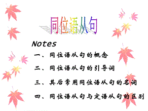 名词性从句(同位语从句).ppt