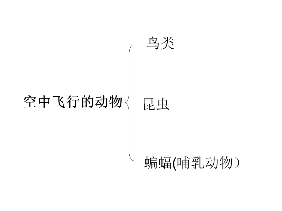 空中飞行的动物第一课时鸟类厉版.ppt_第2页