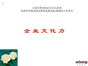 企业文化力讲座(PPT48页)-企业文化基本理论.ppt