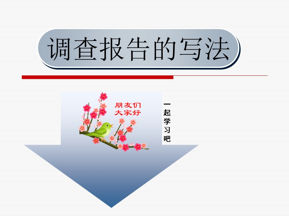 社会调查报告的介绍.ppt_第1页