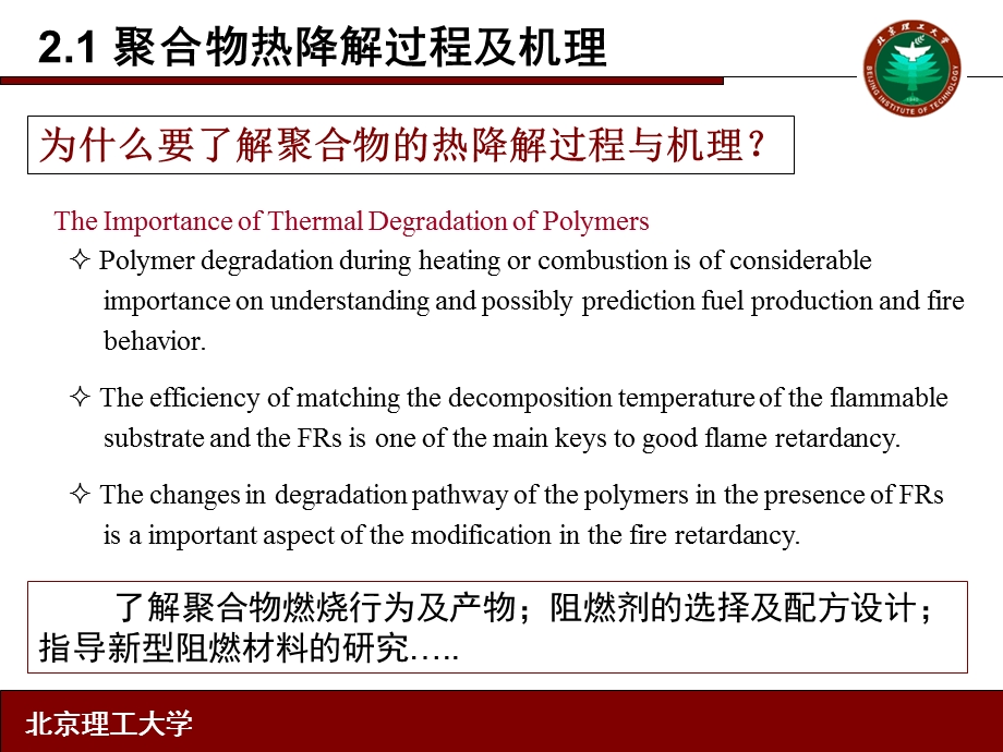 聚合物燃烧与成炭.ppt_第2页