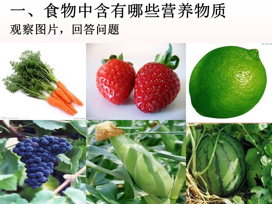 食物中的营养物质第一课时.ppt_第3页