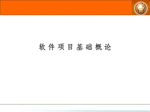 信息系统-软件项目基础概述.ppt