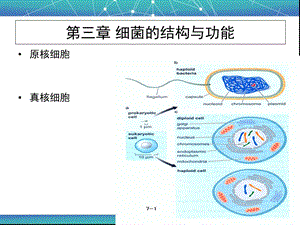 细菌学教学课件第三章细菌的结构与功能.ppt