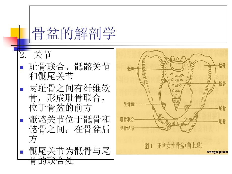 骨盆骨折病人的护理管理.ppt_第3页