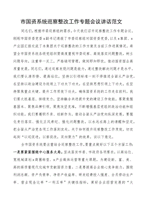 市国资系统巡察整改工作会议讲话.docx