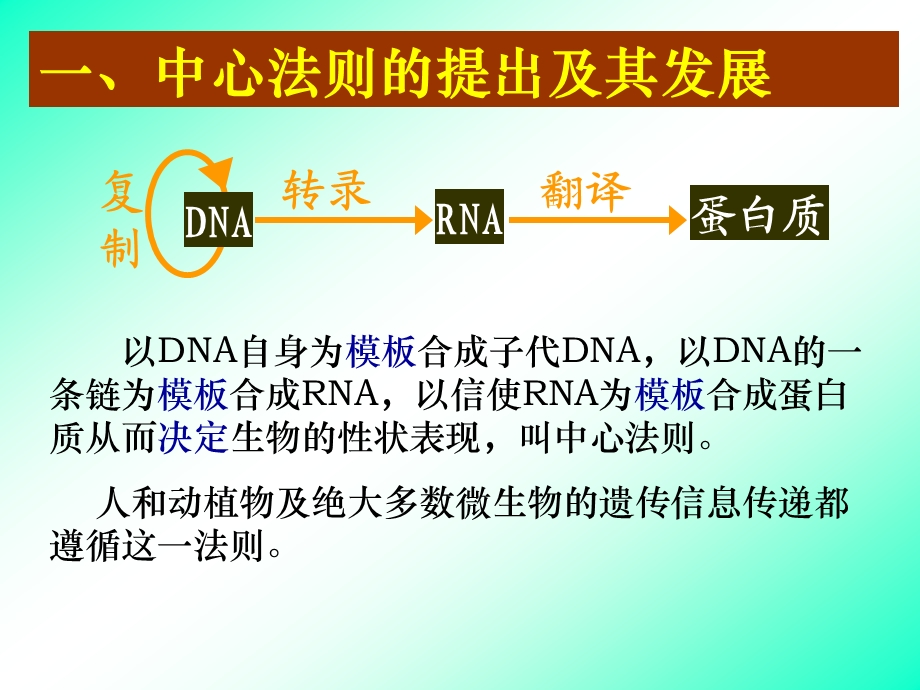 4[1].2选基因对性状的控制.ppt_第2页