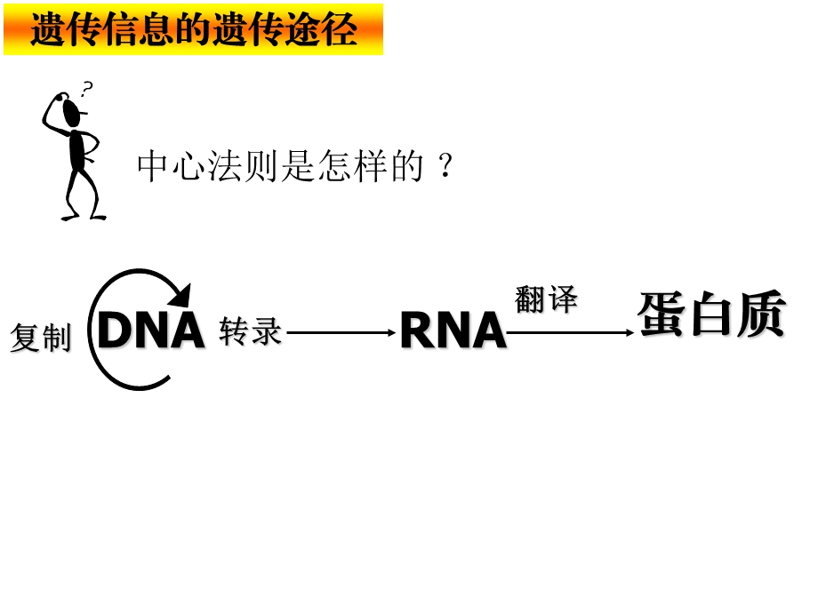 4[1].2选基因对性状的控制.ppt_第3页