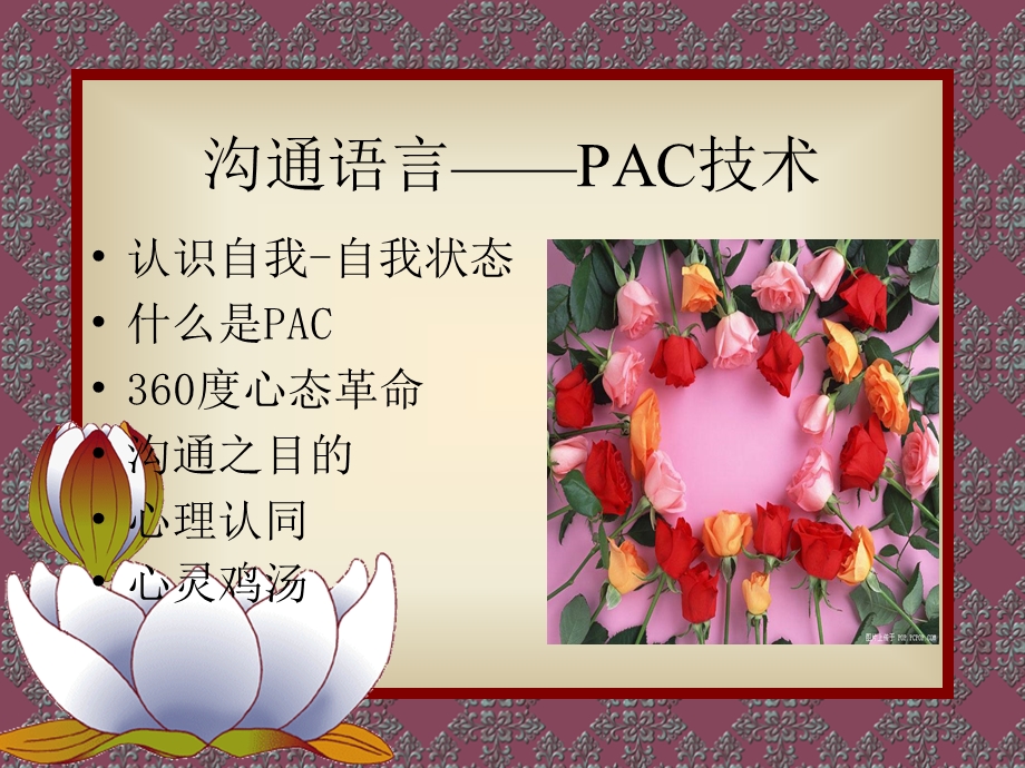 沟通语言PAC技术.ppt_第1页