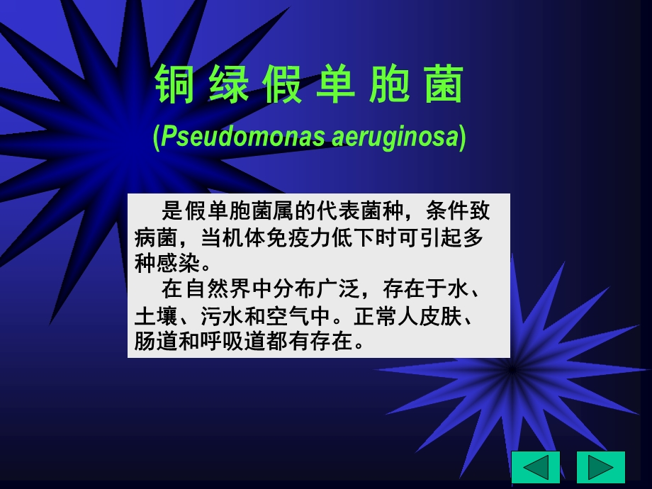 医学微生物-(鲁凤民)20x20其它.ppt_第3页