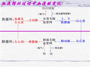 10.3.1人体和外界环境的气体交换.ppt