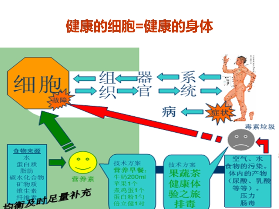 人体十大系统常见病调理.ppt_第2页