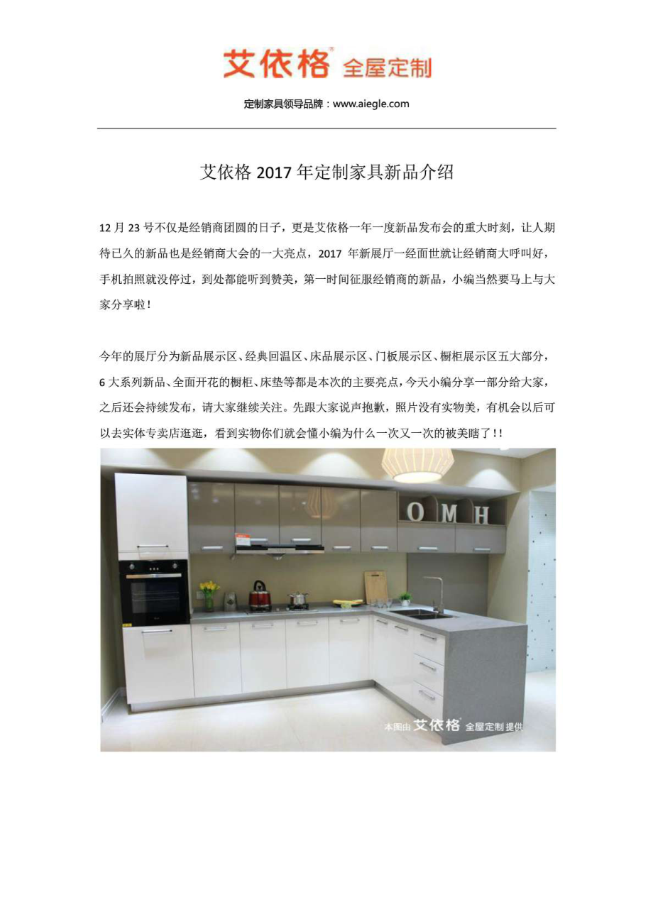 艾依格定制家具新品介绍.doc_第2页