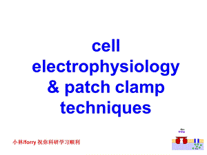 细胞电生理学与膜片钳技术.ppt