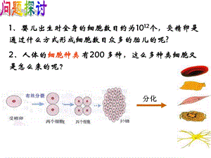 细胞的分化癌变和衰老.ppt