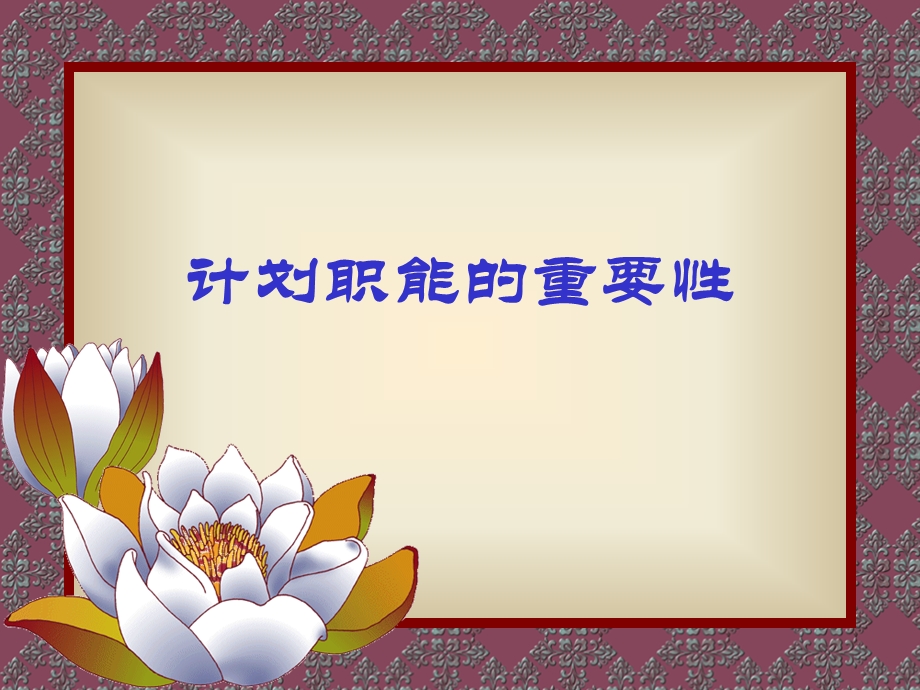 计划职能的重要性.ppt_第1页