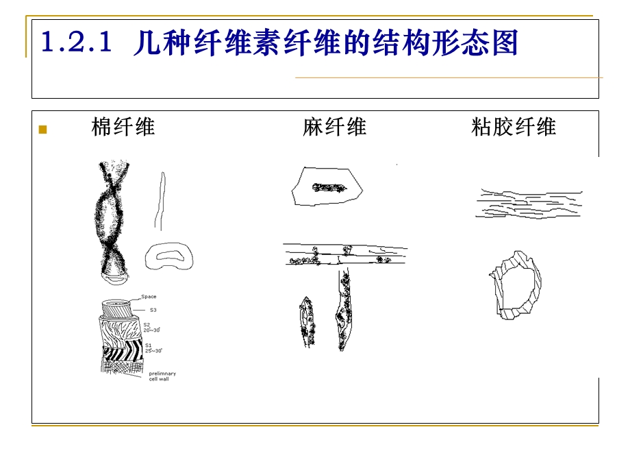 纤维素纤维结构与性能.ppt_第2页