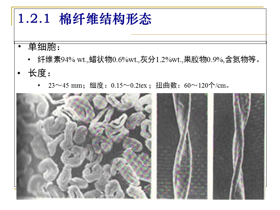 纤维素纤维结构与性能.ppt_第3页