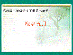 苏教版三年级下册《槐乡五月》PPT课件.ppt