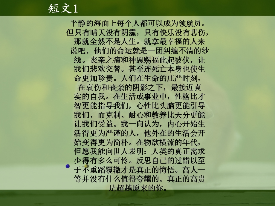 翻译篇第八章短文翻译练习.ppt_第2页