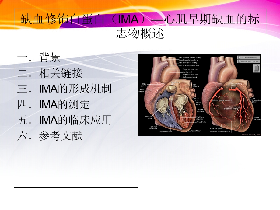 缺血修饰白蛋白.ppt_第1页