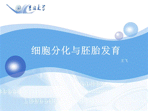 细胞分化与胚胎发育-课上演示版.ppt