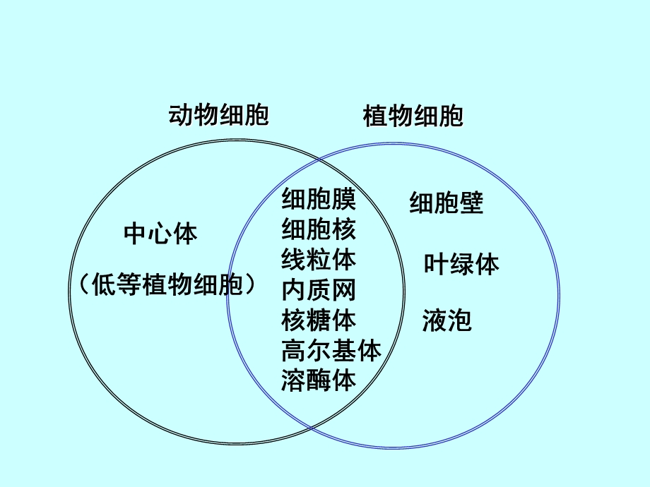 细胞的基本结构.ppt_第3页